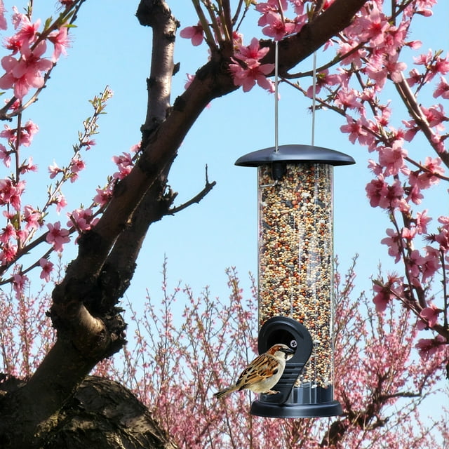 Hanging Feeder Food Dispenser, Water Tube Bird Feeder with Roof Garden Yard Decoration for Bird Watchers Children Outdoor-4069801